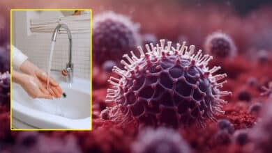 Explained: The resurgence of Nipah virus in Kerala