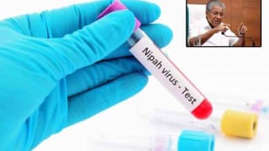 Vijayan meets media after 7 months with Nipah details