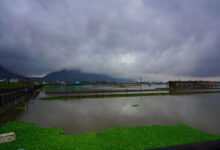 Heavy rain likely in Telangana in next 48 hours: Met