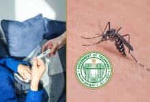 Dengue Cases Surge in Hyderabad: Urgent Call for Preventive Measures