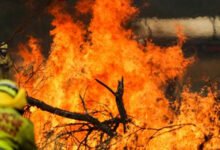 Australian states remain on high alert due to bushfires
