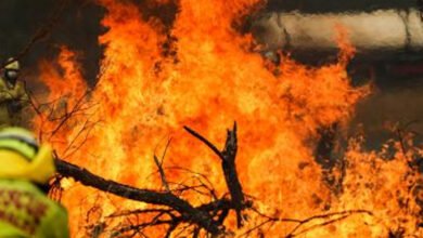 Australian states remain on high alert due to bushfires