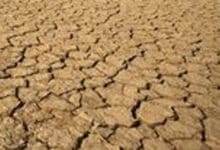 Central teams to visit K’taka to assess drought situation