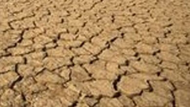 Central teams to visit K’taka to assess drought situation