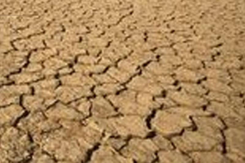 Central teams to visit K’taka to assess drought situation