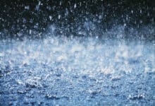 Light to moderate rain likely in Telangana in next 24 hours: Met