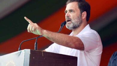 After Bihar releases caste-based census, Rahul says it is important to know caste statistics