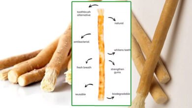 Miswak: Islamic Practice for Dental Care; A Scientific Review