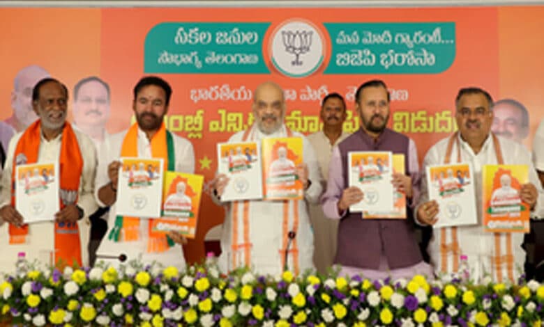 Sardar Patel liberated Telangana from Razakars, Nizams: Amit Shah