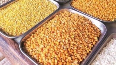 Government Extends Customs Duty Exemption on Tur and Urad Dal Until March 2025