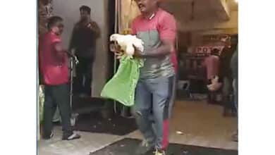 Andhra MLA distributes liquor, live chicken on festival day