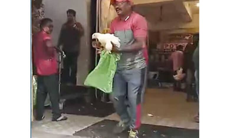 Andhra MLA distributes liquor, live chicken on festival day