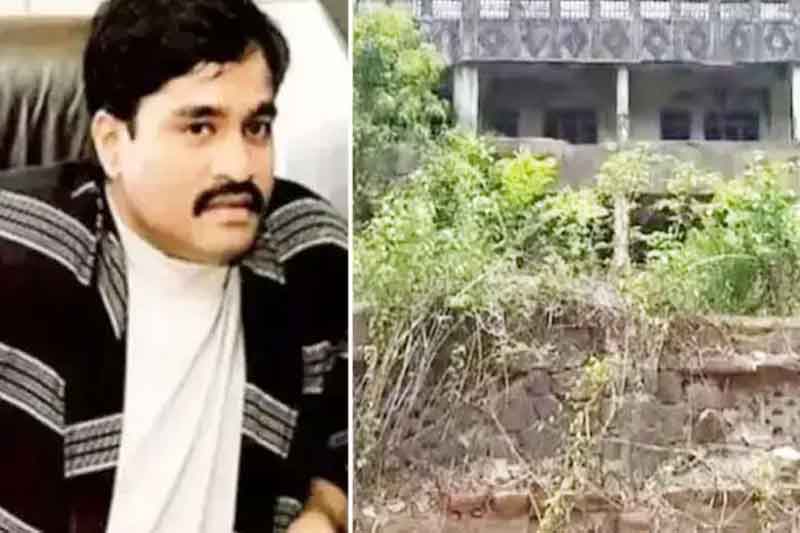 Two Village Properties Belonging to TerroristDawood Auctioned