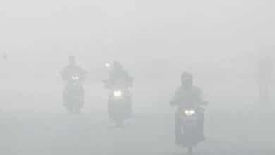 Foggy conditions likely in Telangana in next 24 hours: Met