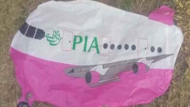 Balloon Bearing 'Pakistan International Airlines' Markings Found in Jammu and Kashmir's Poonch