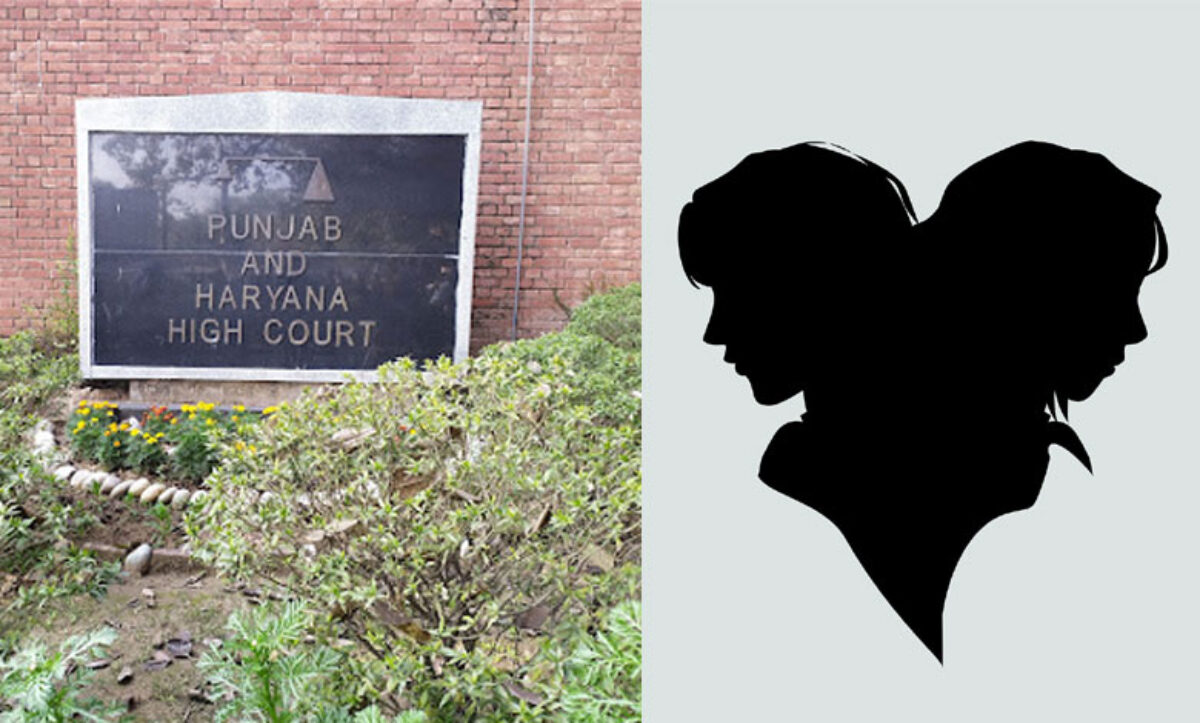 Take this immoral thing back': Punjab & Haryana HC judge on a plea by same- sex couple