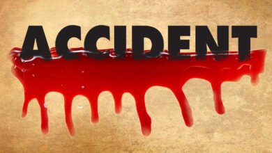 6 dead, over 20 injured in bus-truck collision