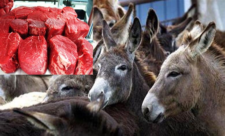 AP: Vijayawada police seize 30 kg donkey meat