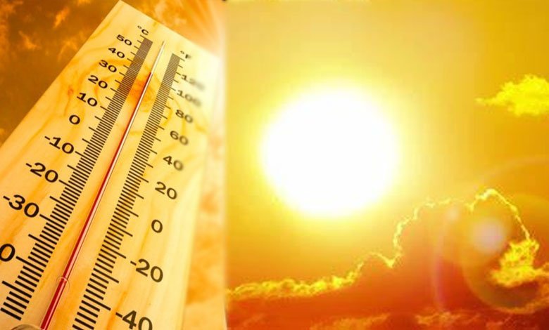 13 Telangana districts recorded above 43.4 degrees Celsius