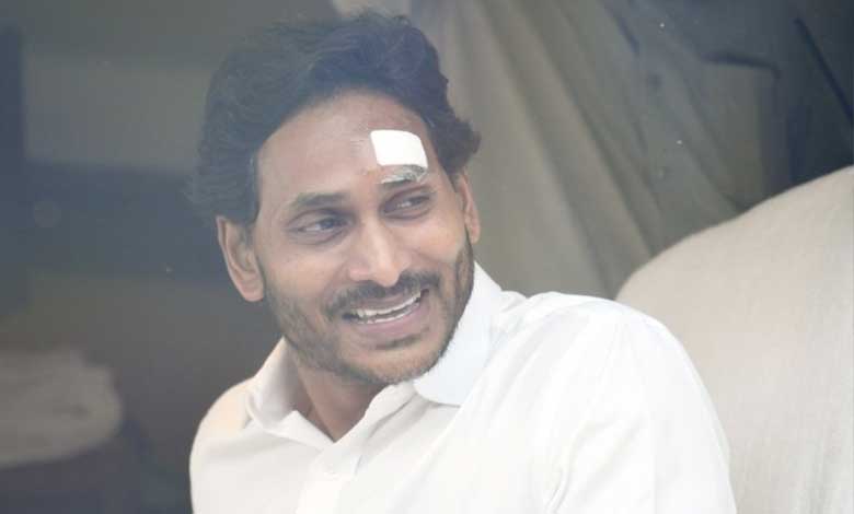 Injured YSRCP chief resumes poll campaign in Andhra Pradesh