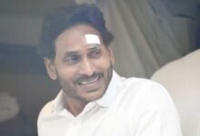 Youth who hurled stone on Andhra Pradesh CM sent to judicial custody