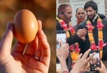 Egg donated for mosque construction fetches over Rs 2.26 lakh in auction