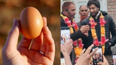 Egg donated for mosque construction fetches over Rs 2.26 lakh in auction