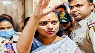 Excise scam: BRS leader K Kavitha seeks bail in Delhi court