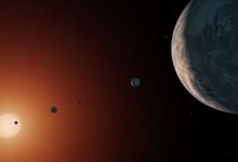NASA Discovers Earth-Like Planet That Gleams Similar to Moon