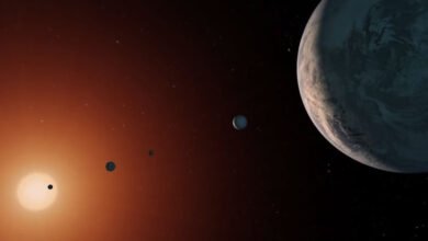 NASA Discovers Earth-Like Planet That Gleams Similar to Moon