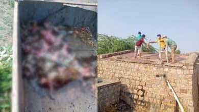 30 monkeys found dead in water tank in Telangana