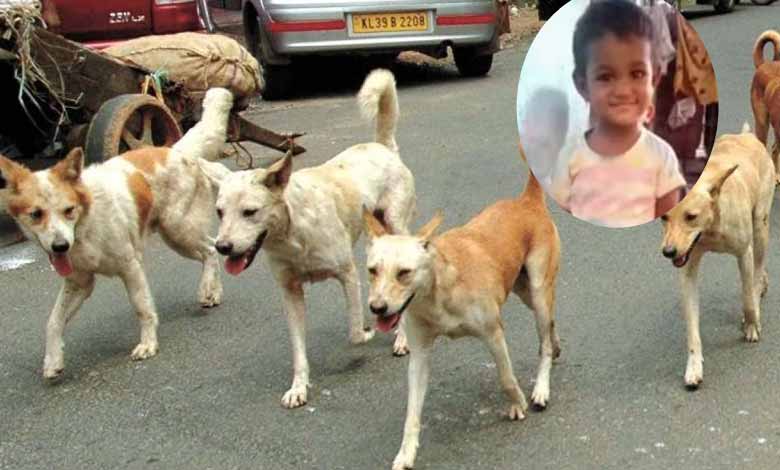 Four-year-old girl attacked by stray dog, succumbs in Karnataka