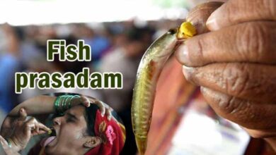 'Fish prasadam' for asthma patients to be distributed on June 8