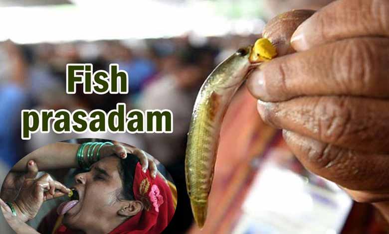 'Fish prasadam' for asthma patients to be distributed on June 8