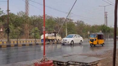 Gusty winds, hailstorms witnessed in parts of Bengaluru