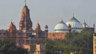 Shahi Idgah row: Deity was not party in 'compromise' between two sides in 1968, Hindu side tells HC