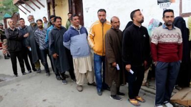 LS elections: 14.94% polling in Srinagar till 11 am, figure higher than 2019 total turnout