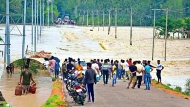 Assam flood: 6 lakh people affected in 10 districts