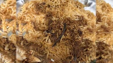 Customer Discovers Hair Pin in Biryani from Hyderabad Restaurant, Sparks Outrage on Social Media