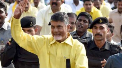 TDP chief Chandrababu Naidu thanks people for NDA's victory in Andhra Pradesh