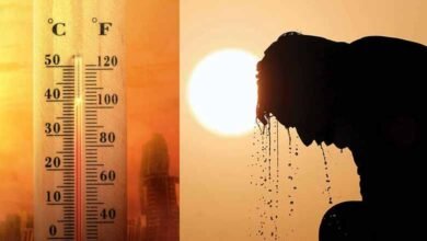 Delhi sees 22 heat-related deaths in 24 hours