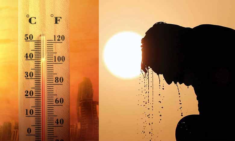 Delhi sees 22 heat-related deaths in 24 hours