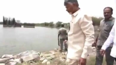 Andhra CM Naidu visits Amaravati, promises white paper on the capital city