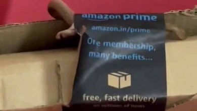 Bengaluru couple shocked as they find snake in Amazon package: Video