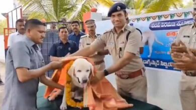 Sniffer Dog Tara Honored by Adilabad Police on her Retirement Day: Video