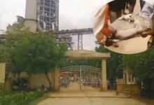 Andhra News | 15 workers injured as boiler in cement factory explodes