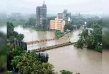 NDRF rescues 16 more people stranded in flood water in Gujarat village