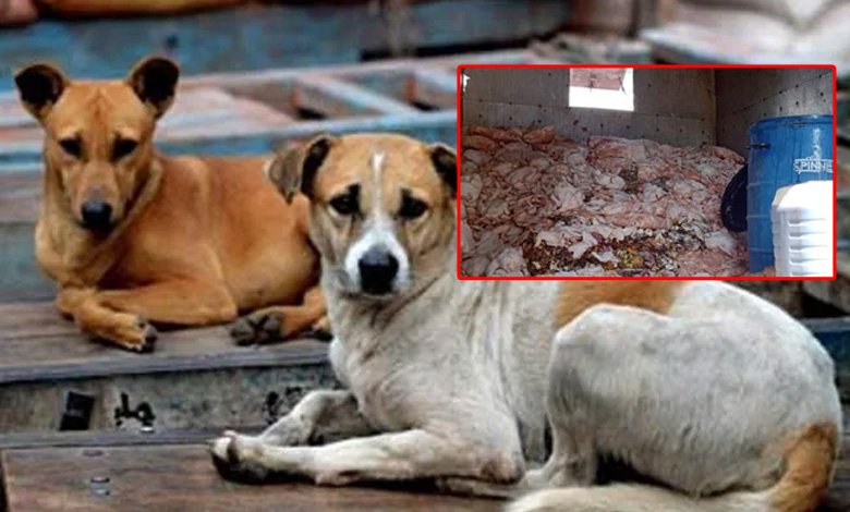 Karnataka News | Govt says Samples Sent to Food Lab for Analysis in Dog Meat Row