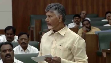  ‘Special allocations' made to Andhra Pradesh in Union Budget after five years: TDP