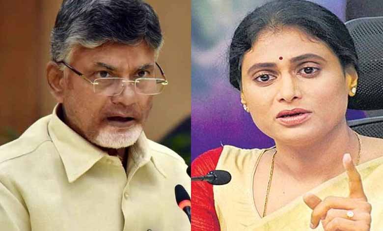 Why is Chandrababu Naidu tight-lipped on special category status for AP, asks YS Sharmila
